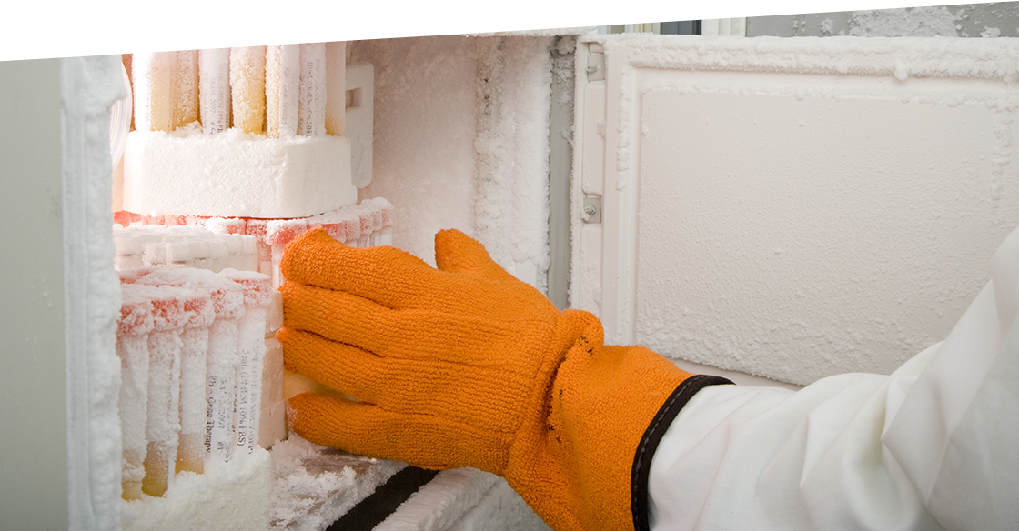 Scientist wearing gloves grabbing a sample from a freezer